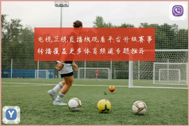 电视卫视直播线观看平台升级赛事转播覆盖更多体育频道专题推荐