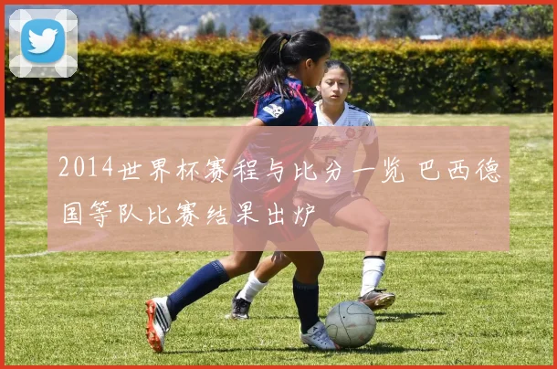 2014世界杯赛程与比分一览 巴西德国等队比赛结果出炉