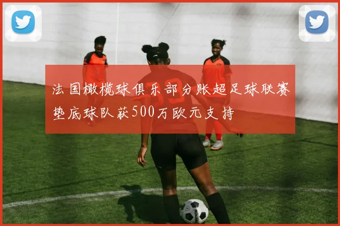 法国橄榄球俱乐部分账超足球联赛垫底球队获500万欧元支持