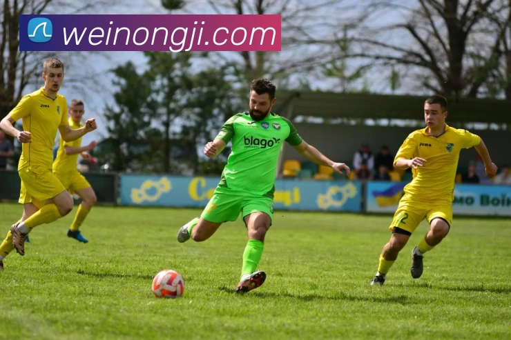 米兰app官网服务体系