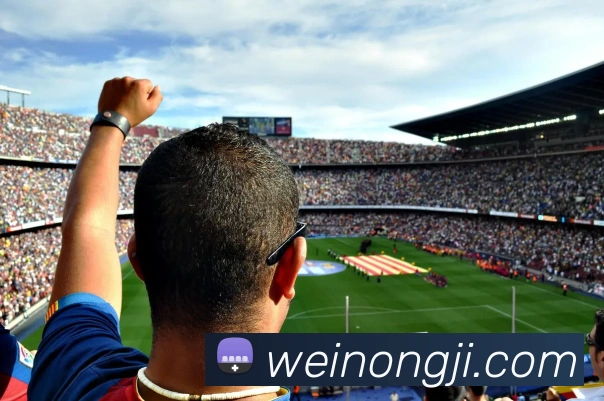 米兰app官网APP 体育赛事宣传图